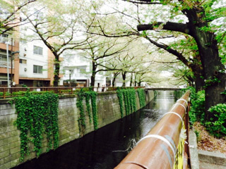 別所橋