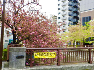 宝来橋