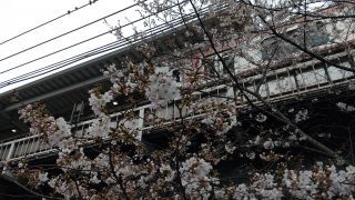 3月23日中目黒駅高架下