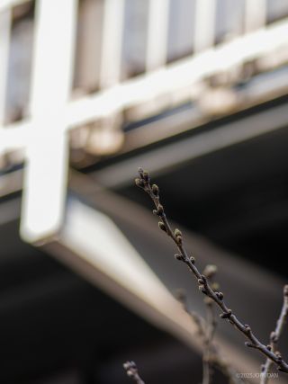 中目黒駅前高架下 3月17日