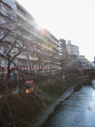 駅前の日の出橋付近 3月17日