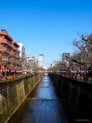 宿山橋付近 3月17日