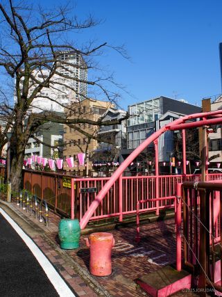 中の橋付近 3月17日
