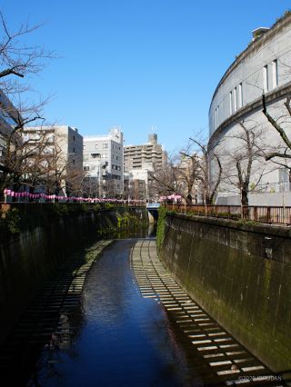 目黒天空庭園付近 3月17日