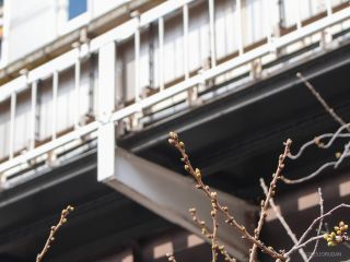 中目黒駅前高架下 3月20日
