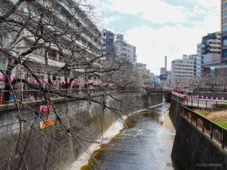 駅前の日の出橋付近 3月20日