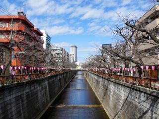 宿山橋付近 3月20日
