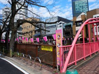 中の橋付近 3月20日