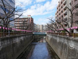 目黒天空庭園付近 3月20日