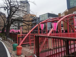 中の橋付近 3月24日