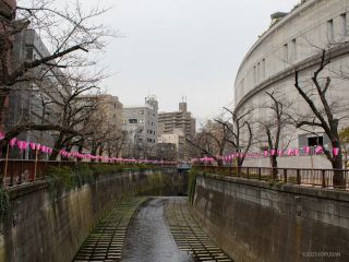 目黒天空庭園付近 3月24日