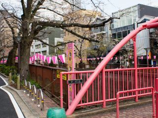 中の橋付近 3月27日
