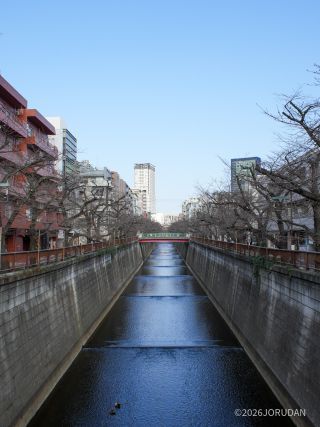 宿山橋付近 3月12日