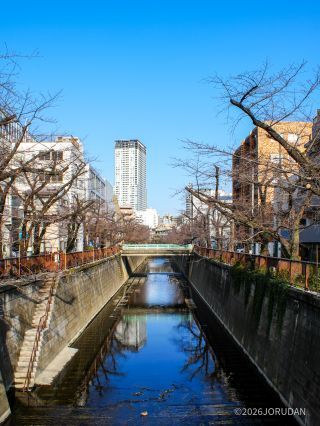 千歳橋付近 3月12日