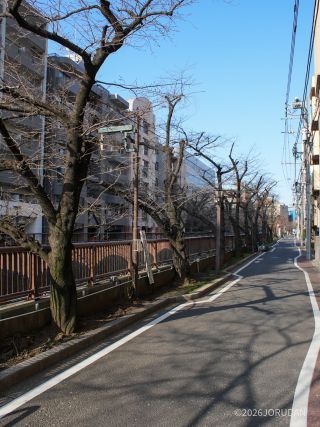 目黒橋～東山橋 3月12日