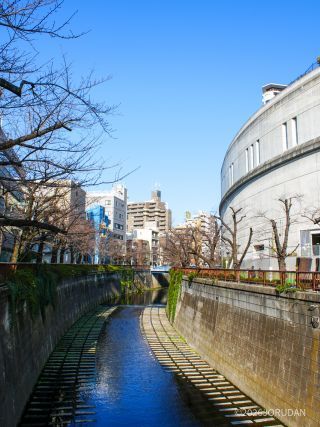 目黒天空庭園付近 3月12日