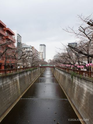 宿山橋付近 3月16日