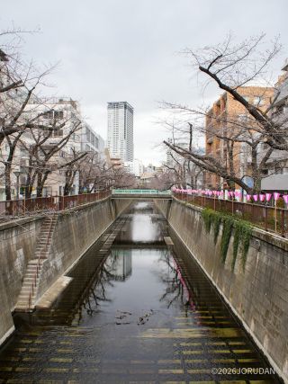 千歳橋付近 3月16日