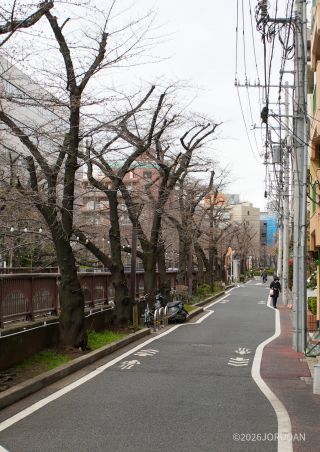 山手通り～東山橋間 3月16日
