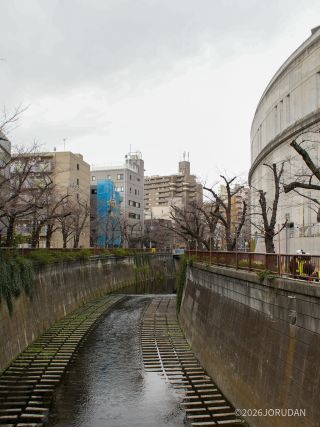 目黒天空庭園付近 3月16日