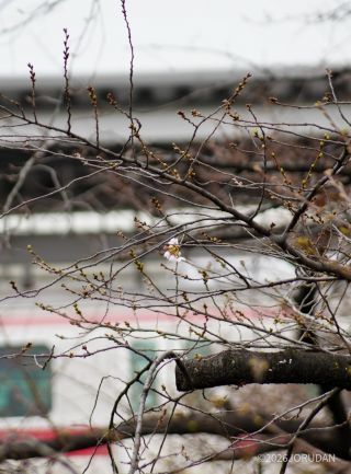 中目黒駅前、合流点遊び場で確認