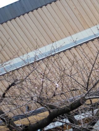 テラス席で見るといいかもしれません