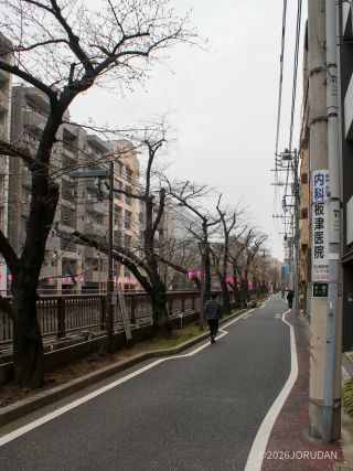 東山橋付近 3月19日