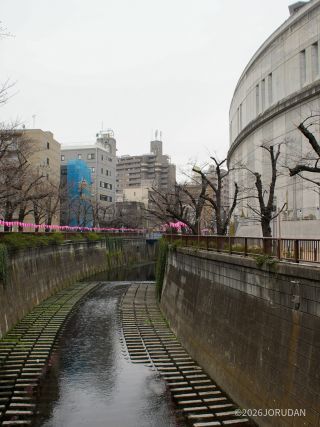 目黒天空庭園付近 3月19日