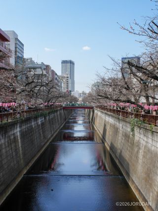 宿山橋付近 3月23日