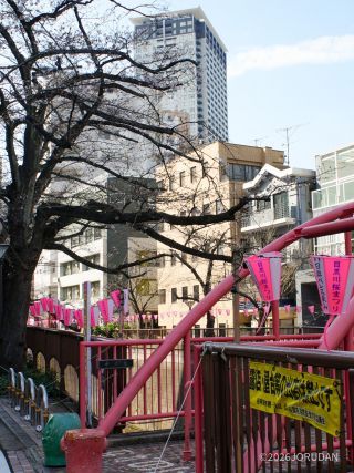 中の橋付近 3月23日