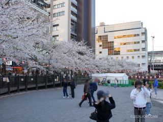 「合流点遊び場」も大賑わい
