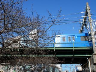 京急線高架下 1月30日