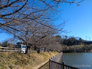 小松ヶ池公園園内 1月30日