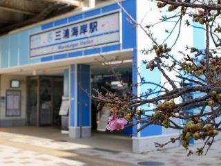 三浦海岸駅前 2月6日