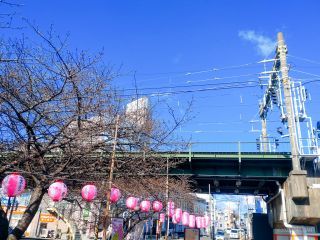 京急線高架下 2月6日
