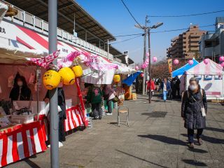 三浦海岸駅前は屋台とお花見客で賑わっています