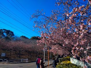 桜園地と小松ヶ池公園入口