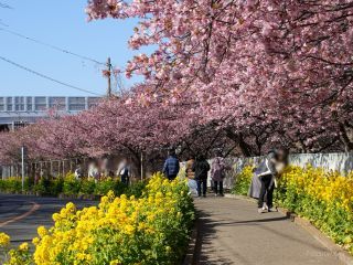 桜園地と小松ヶ池公園入口 2月27日