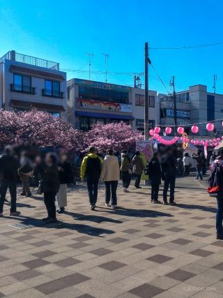 桜まつり会場午前9時半、すでに混雑