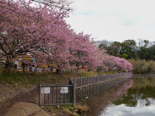 天気が良い日にレッツリフレクション！