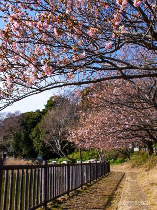 小松ヶ池公園 2月4日