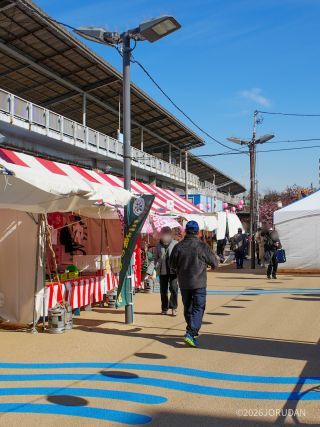 桜まつり開催中
