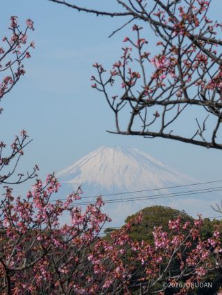高台に登ると富士山が見えます