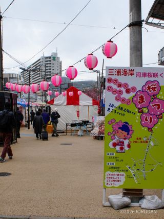 三浦の大根を始め、ドライフルーツや三崎まぐろのグルメも