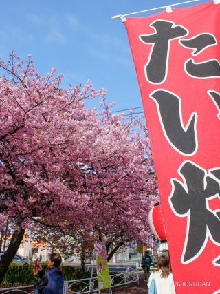 京急線高架前 2月24日
