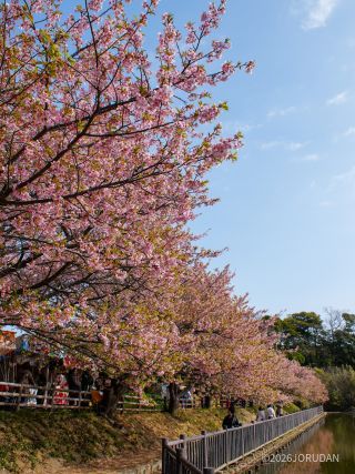 小松ヶ池公園 2月24日