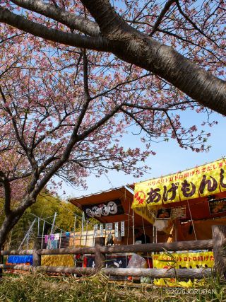 屋台グルメが楽しめるのも来週まで