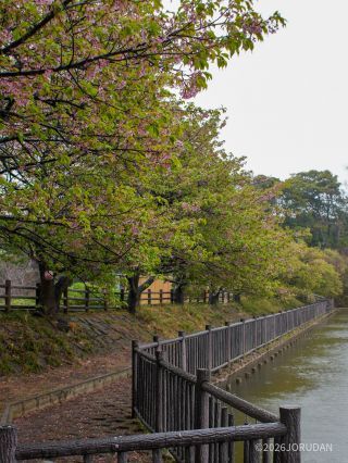 小松ヶ池公園は来シーズンへ向けて