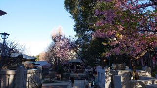 五條天神社の様子