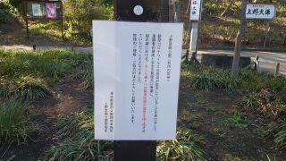 桜時期の宴席区画設置中止のお知らせ